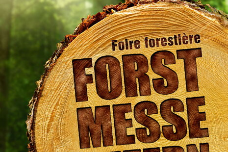 25. Internationale Forstmesse 15. - 18. August 2019 in Luzern